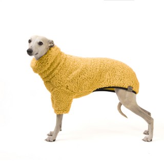 Orchre BERÁNEK for Whippets