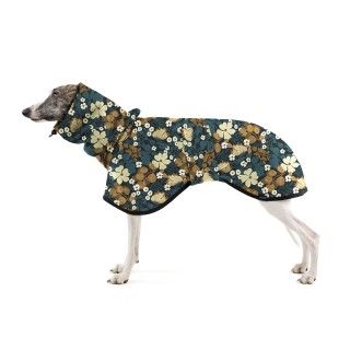 Thunbergie Petrolejová COAT...