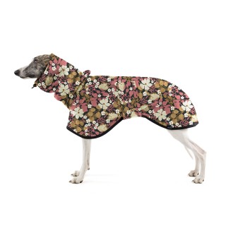 Thunbergie Lososová COAT...