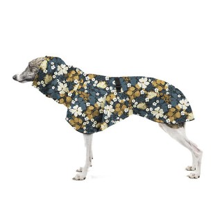 Thunbergie Petrolejová ZETY...