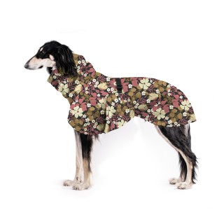 Thunbergie Lososová ZETY...