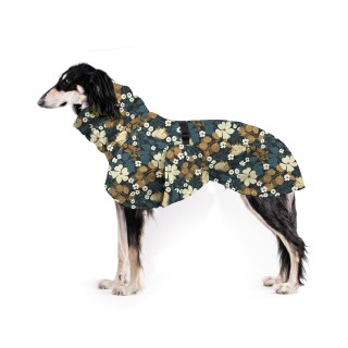 Thunbergie Petrolejová ZETY...