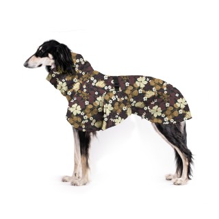 Thunbergie Vínová ZETY...