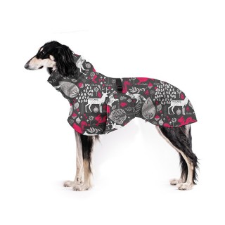 Lesní Ráj Fuchsie ZETY...