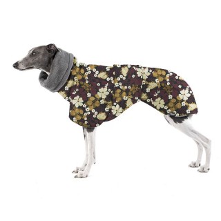 Thunbergie Vínová DONY...