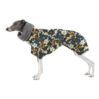 Thunbergie Petrolejová DONY...