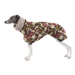 Thunbergie Lososová DONY...