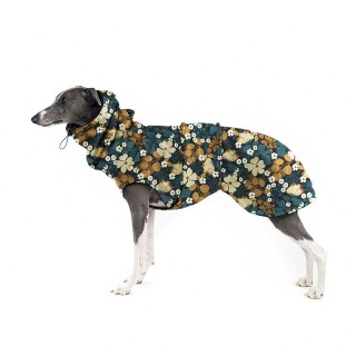 Thunbergie Petrolejová RUNY...