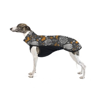 Lesní Ráj Hořčice TOP pro...