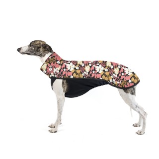 Thunbergie Lososová TOP pro...