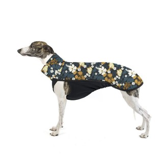 Thunbergie Petrolejová TOP