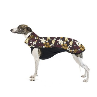 Thunbergie Vínová TOP pro...