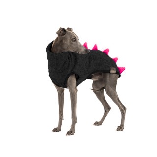 Anthracite Pink Dinosaur...