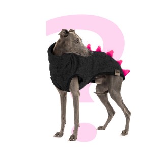 Custom-made Dinosaur ERI...