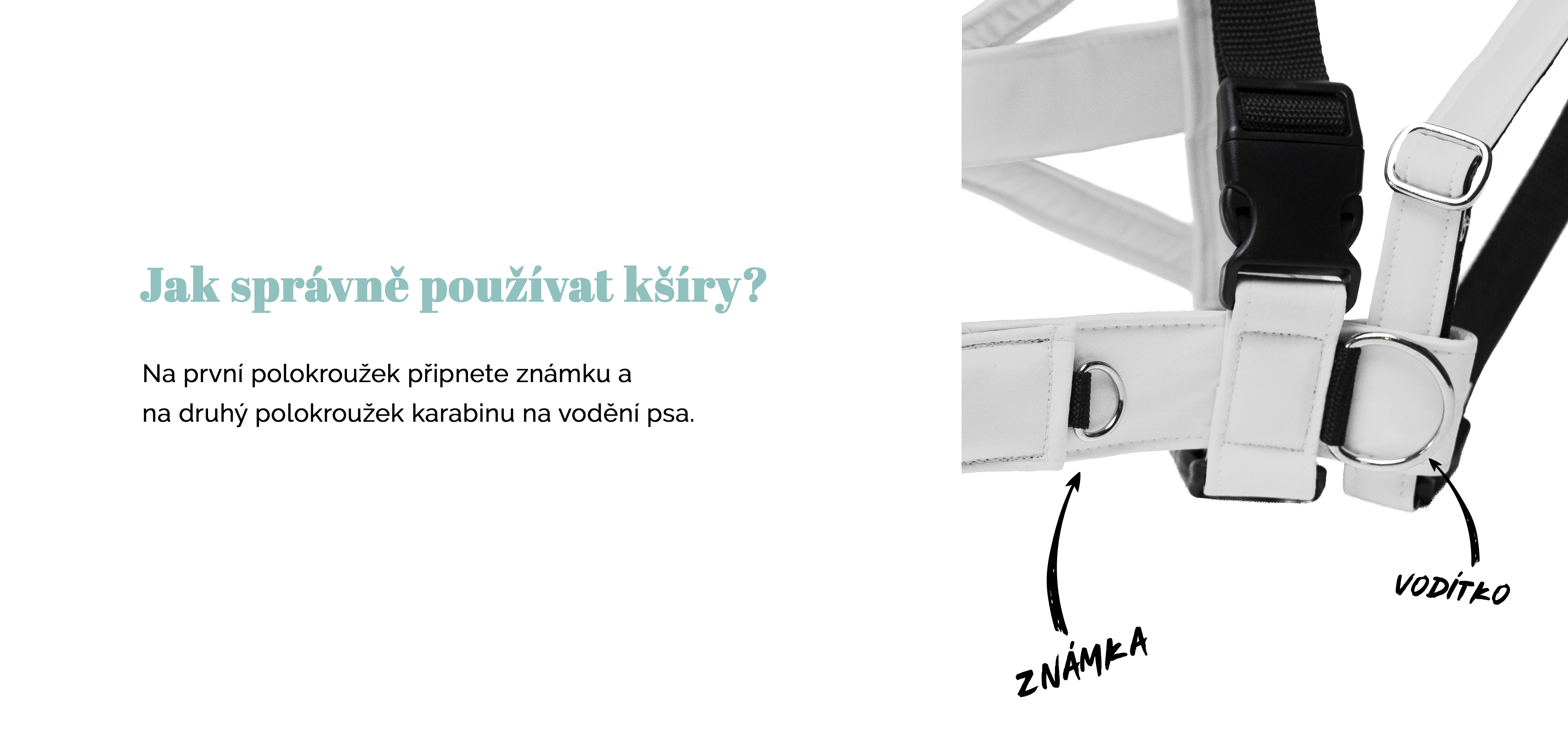9_1.jpg