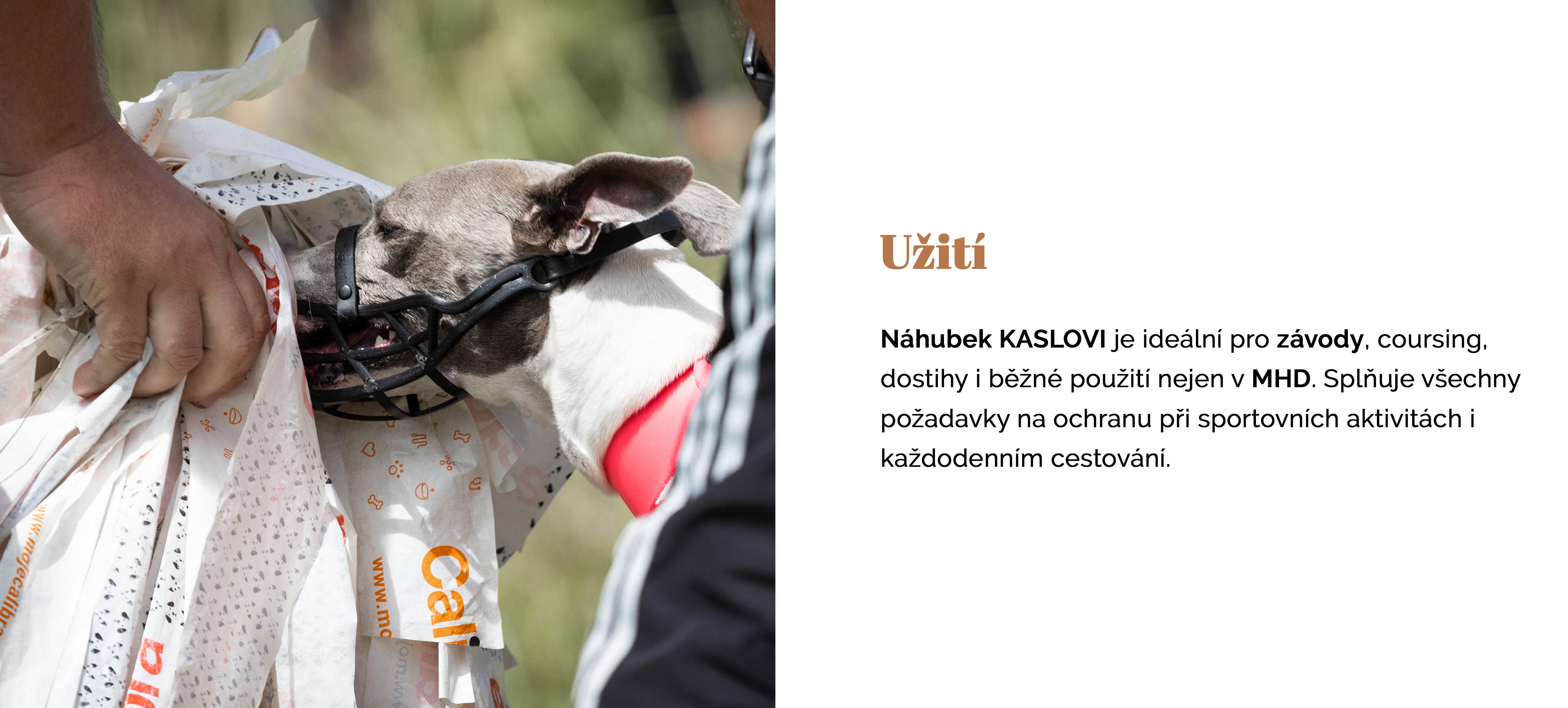 Náhubek_14.jpg