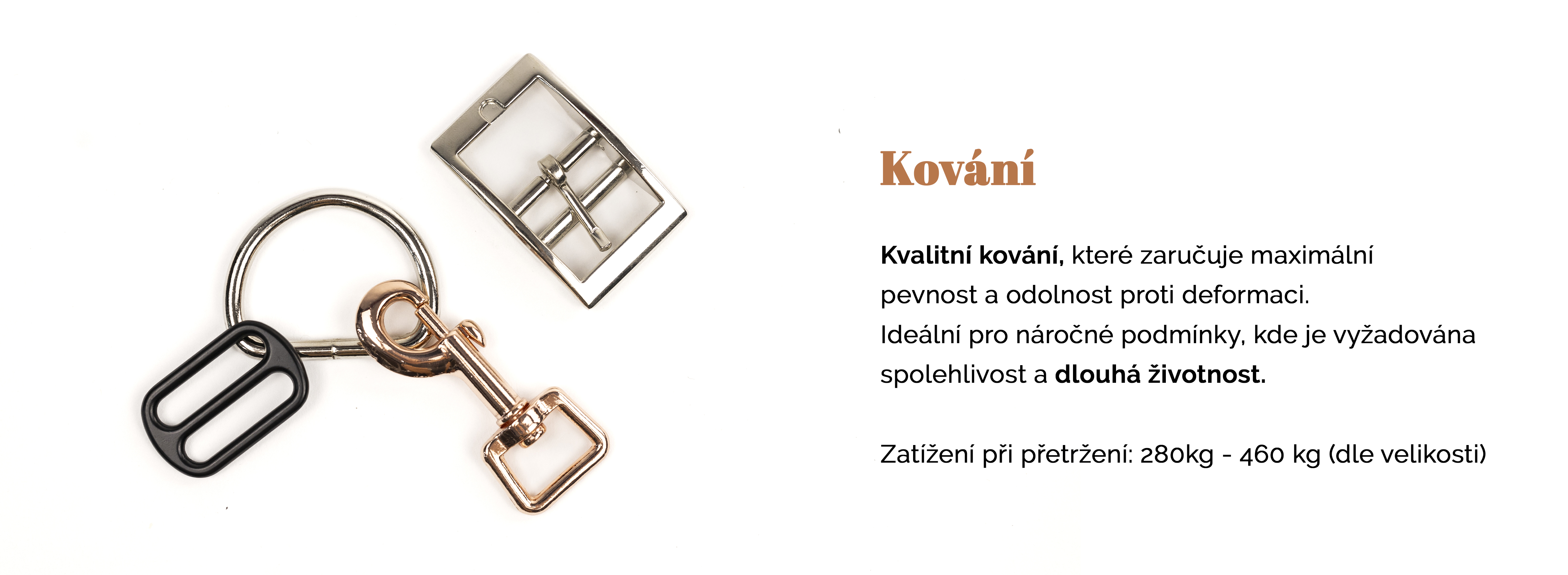 S přezkou_2.jpg