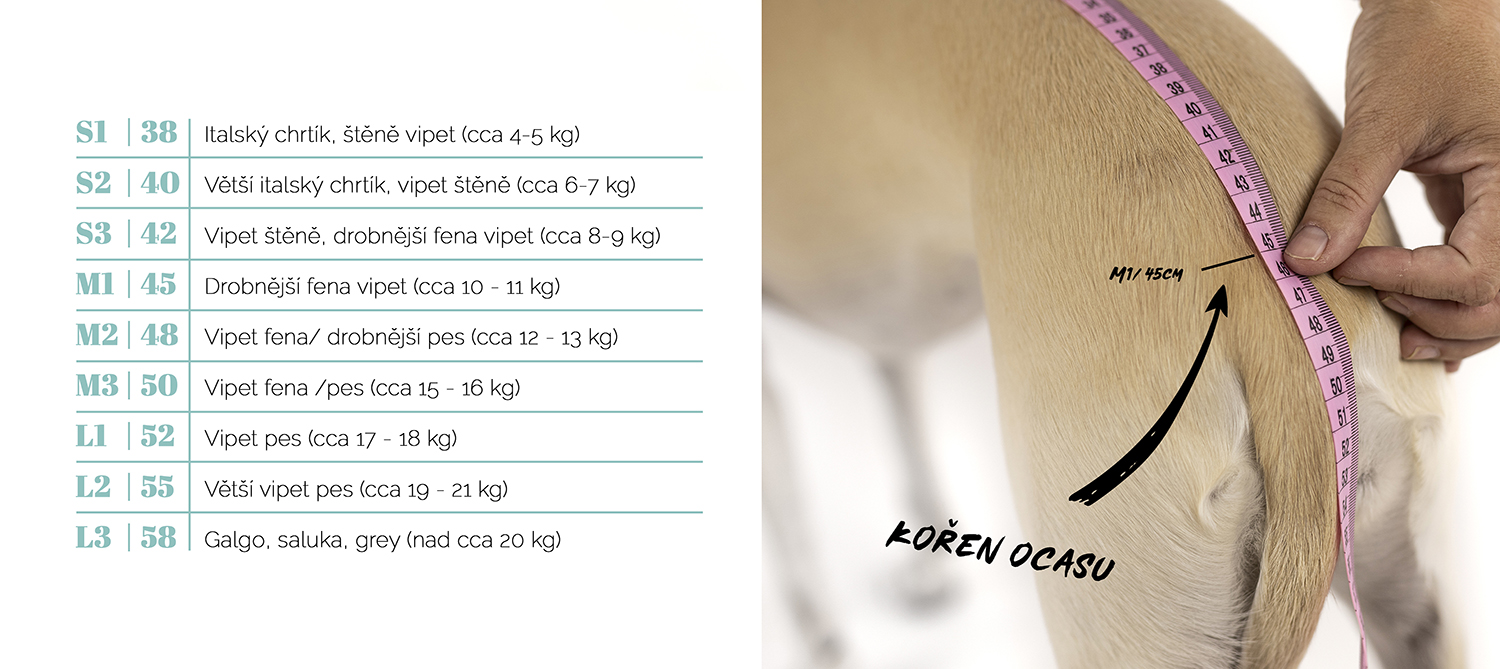 4 kopie.jpg