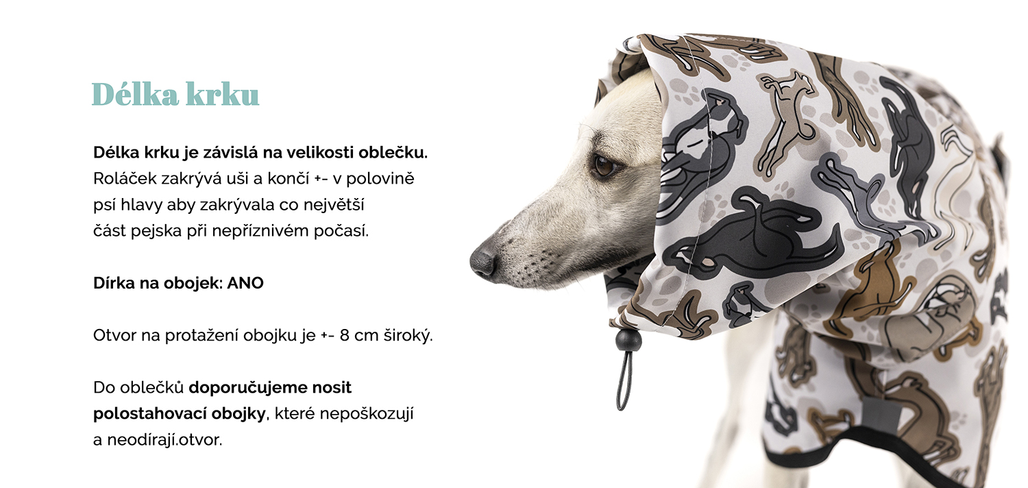 Plástenka_26 kopie.jpg