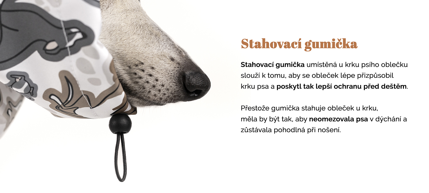 Plástenka_28 kopie.jpg