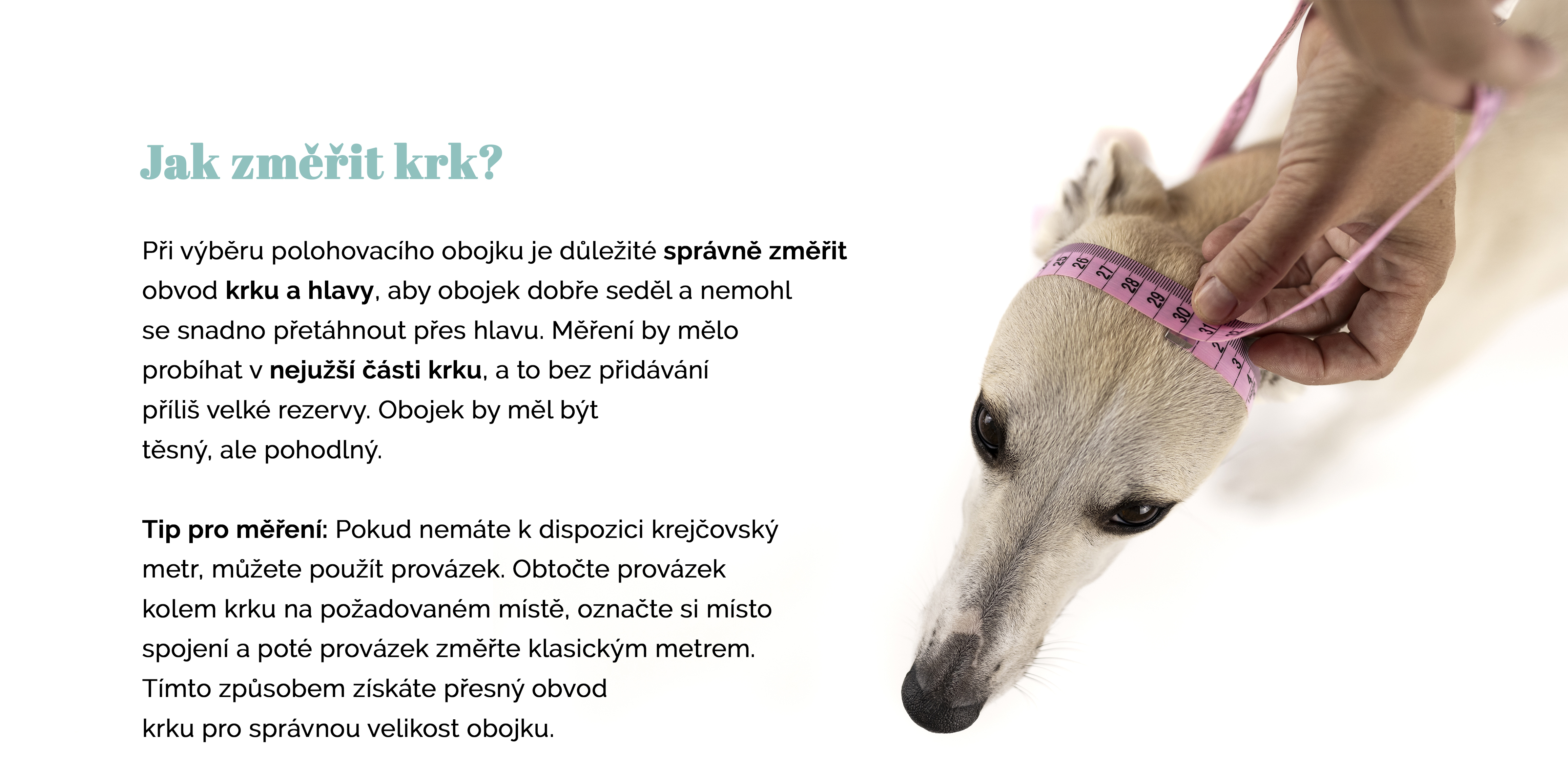 Polohovací_18.jpg